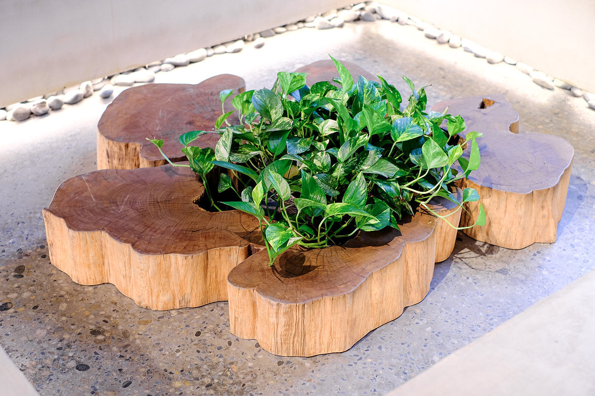 Renaissance | BC COFFEE TABLE - maystudio