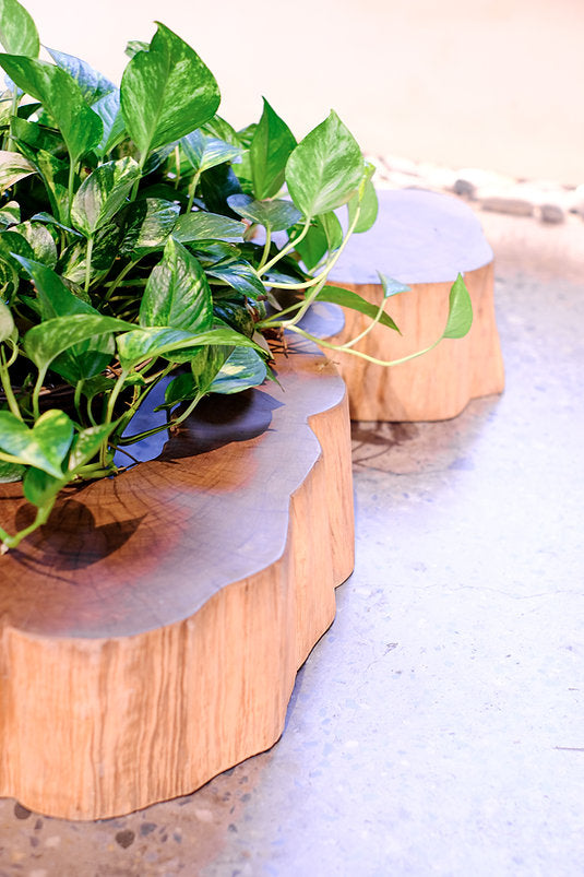 Renaissance | BC COFFEE TABLE - maystudio