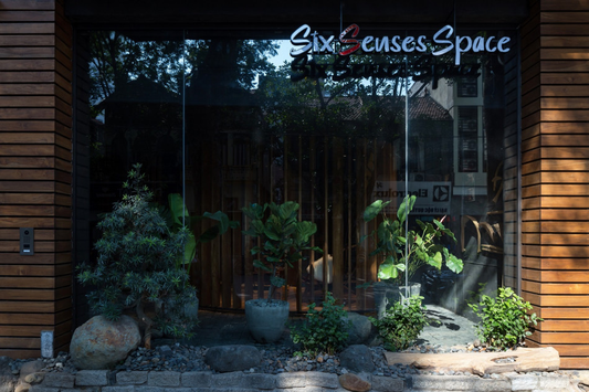 S Plus, Asian charm in the technology & contemporary space
