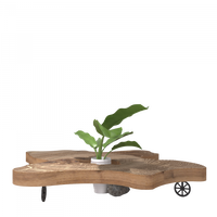 Renaissance | BC COFFEE TABLE - maystudio