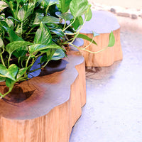 Renaissance | BC COFFEE TABLE - maystudio